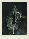 加山 又造 「鍬がた」 Matazo Kayama 加山 又造 「鍬がた」 Matazo Kayama