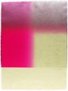 百瀬 寿 「Magenta and Metallic Red thru」 Hisashi Momose