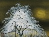 加山 又造 「夜桜」 Matazo Kayama